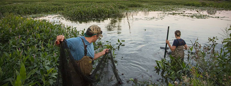 Image: Kia America Joins Forces with The Nature Conservancy to Support Freshwater Conservation
